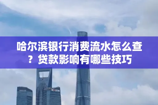 哈尔滨银行消费流水怎么查？贷款影响有哪些技巧